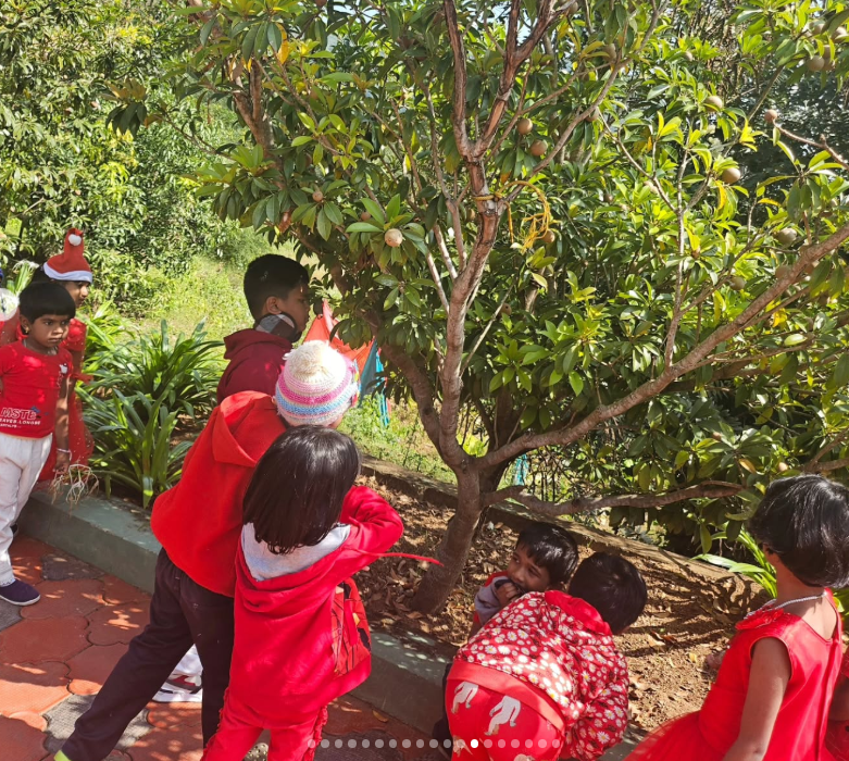Outdoor play